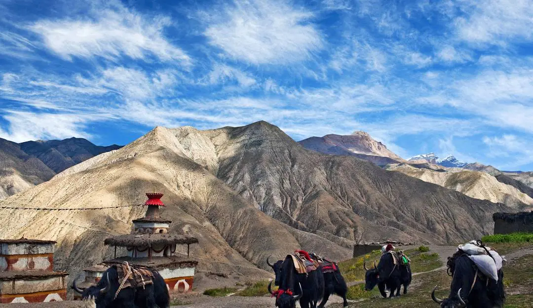 Dolpo Region